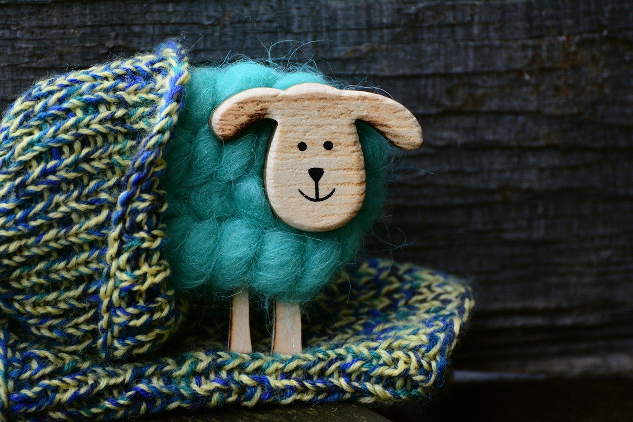 sheep, wool, knit-3103597.jpg
